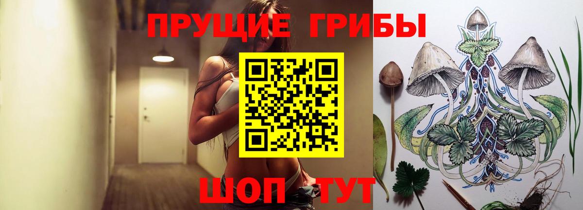 Холмск  Галлюциногенные грибы Psilocybine cubensis  Галлюциногенные грибы мухоморы  магазин продажи наркотиков  Вход с VPN 